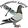 DragonflyLofts