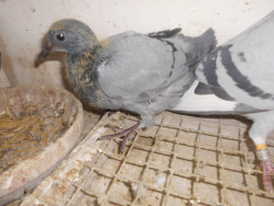 DSCI0887.JPG