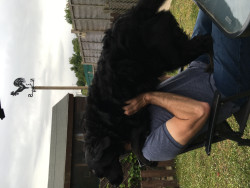 IMG_0205.jpeg