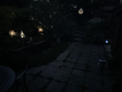 IMG_0183.jpeg