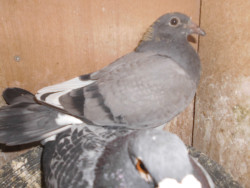 DSCI0920.JPG