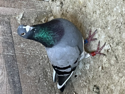 IMG_2575.jpeg