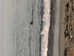IMG_0917.jpeg