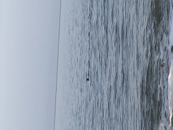 IMG_0913.jpeg