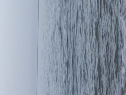 IMG_0914.jpeg
