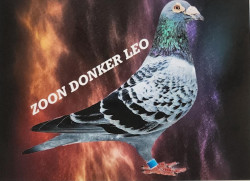55c6446c-f09e-4edc-80c4-fc24751d3277.jpeg