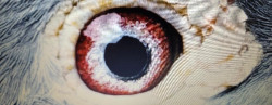 thumbnail - 2024-06-21T183936.953.jpeg