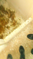 thumbnail - 2024-06-23T120532.043.jpeg