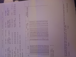 20240720_213312.jpg