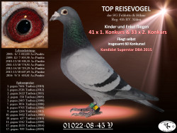 45-H21.jpg
