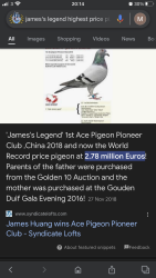 IMG_6551.png