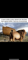 Lion.jpg