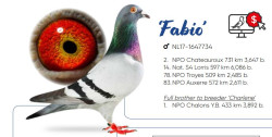 fabio.JPG