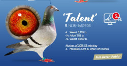 talent.JPG