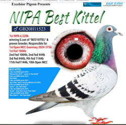 nipa bk    xc.JPG