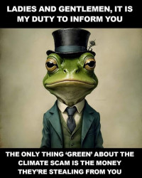 Frog.jpg