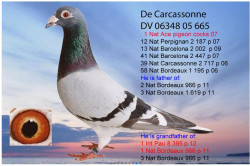 de carcassonne.JPG