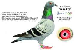 eagle_eye_1.jpg