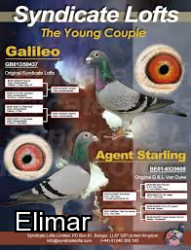 YoungCouple.png