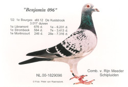 Benjamin 096.jpg