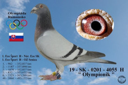 4055-055.jpg