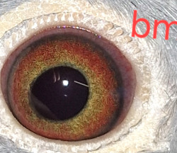 20241027_113209.jpg