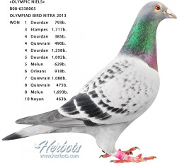 olympic niels.jpg