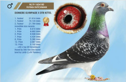 flying dutchman the best.JPG (87.47 KiB) Viewed 3170 times flying dutchman the best.JPG