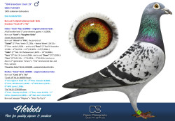 thumbnail_GB23-v25584.jpeg