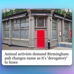 Fox pub.jpg