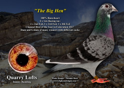 The big hen