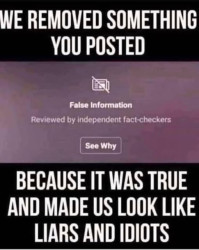 True.jpg