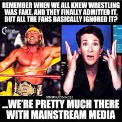 Fake media.jpg