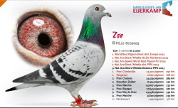 zoe eijerkamp.JPG