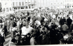 Lier market.jpg