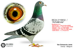 BE24-2116832_blanktxtprint.jpeg