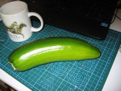 006.JPG