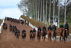 Ballydoyle.jpg