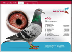 hello.JPG