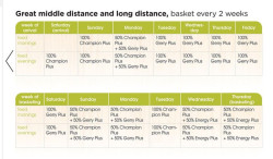 Mid Distance Feeding Plan.JPG
