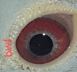 20220527_161941.jpg