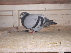 DSCI0849.JPG