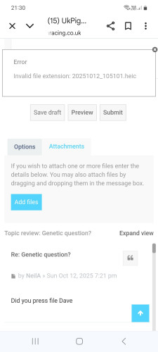 Screenshot_20251012_213022_Chrome.jpg