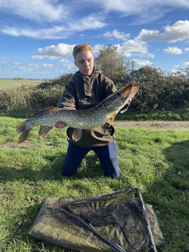 Pike