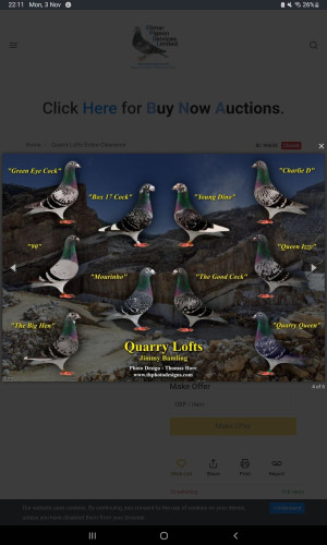 Screenshot_20251103-221116_Chrome.jpg