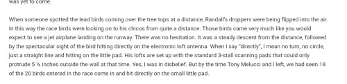 Randall