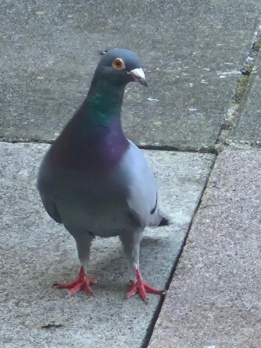 thumbnail (69).jpeg