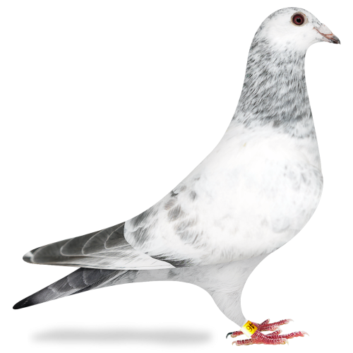 php2u0t7n2fluf16ntkQ04 (1).png