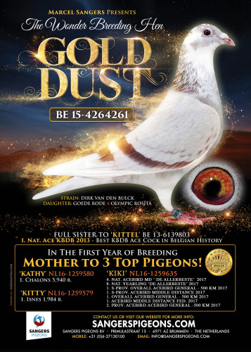 Gold-Dust-visual-SangersPigeons-1.jpg