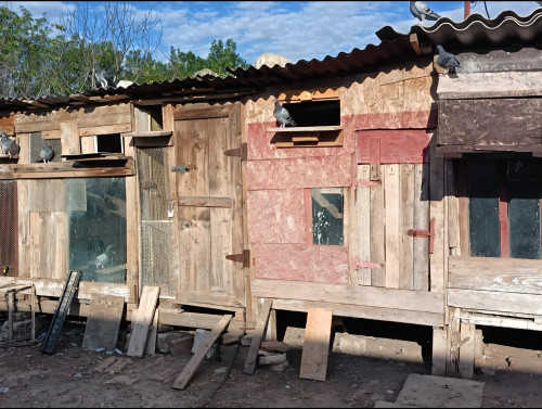 Old loft.jpg